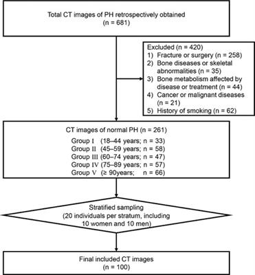 Age-Related changes in the morphological features of medial column of the proximal humerus in the Chinese population